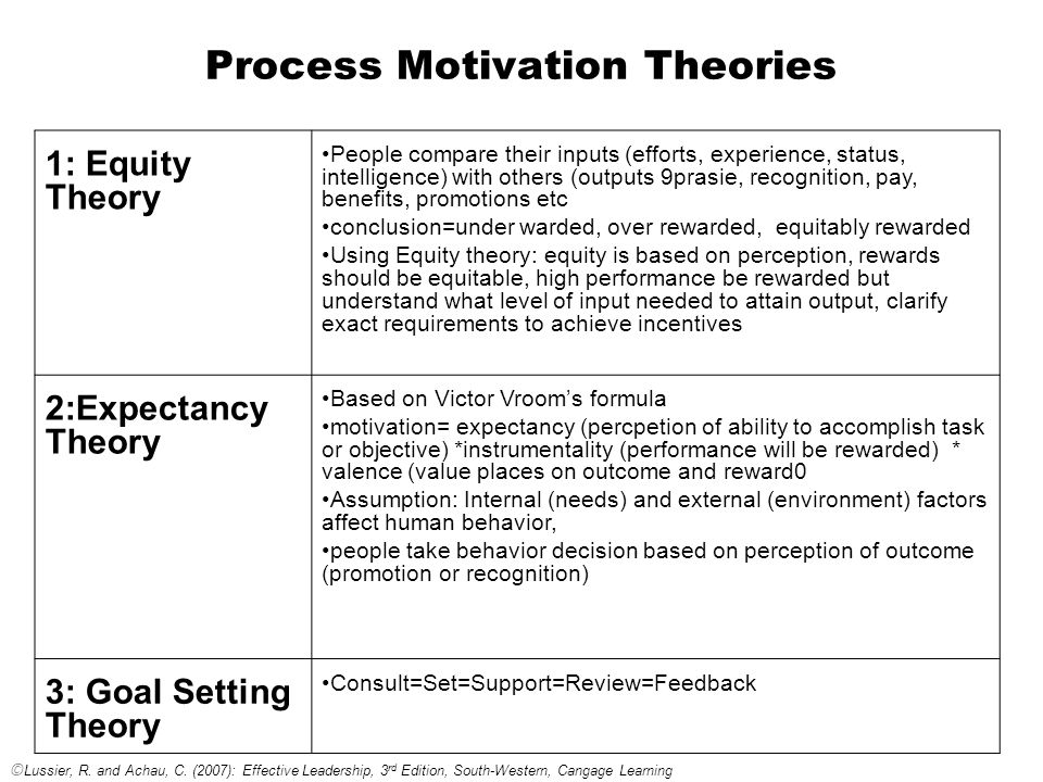 What Are Process Theories of Motivation?
